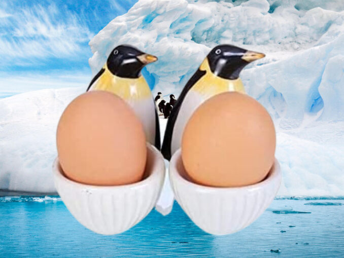 Pinguin Eierbecher